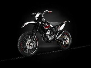 Gas Gas EC 250 (2010)