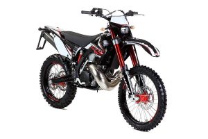 Gas Gas EC 300 (2010-12)