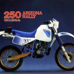 Gilera RX 250 Arizona Rally (1985)