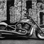 Harley Davidson VRSCA V-Rod 100th Anniversary Edition (2003)