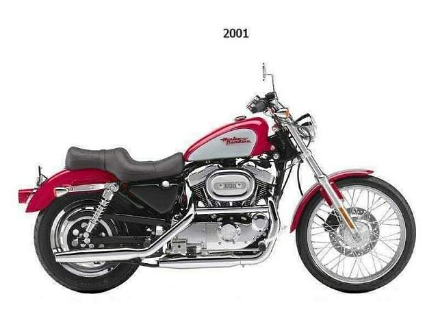 Harley Davidson XL 1200C Sportster Custom (2000-01)