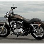 Harley Davidson XL1200C Sportster Custom 110th Anniversary (2013)