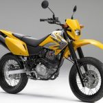 Honda XR 230 Motard (2005-06)