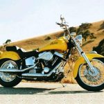Indian Scout (2001)