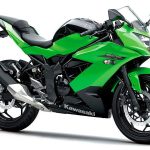 Kawasaki Ninja 250RR Mono (2016)