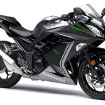 Kawasaki Ninja 300SE (2015)