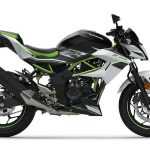 Kawasaki Z125 (2019)