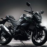Kawasaki Z250 (2013-14)
