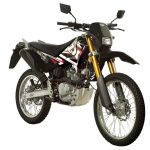 Sachs Enduro ZX125 2011 (2011)