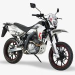 Sachs Enduro ZZ125 2011 (2011)