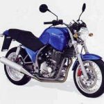 Sachs Roadster 650 (2001-04)