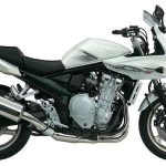 Suzuki Bandit 1250S Limited Edition (2009)
