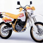 Suzuki DR 200 (1991-95)
