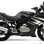 Suzuki GS500F (2004-06)