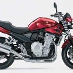 Suzuki GSF 650N Bandit (2007-08)