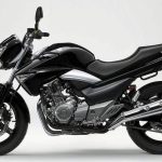 Suzuki Inazuma 250 (2012)