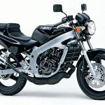 Suzuki RG/TV200 Wolf (1992)