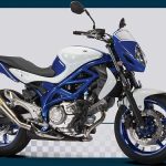 Suzuki SFV 650 Gladius Trophy Replica (2012)