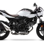&nbsp;Suzuki SV 650X (2019)