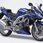 Suzuki SV1000S (2004)