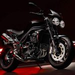 Triumph Speed Triple 15th Anniversary (2009)