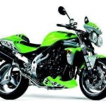 Triumph Speed Triple 955i (2001-02)