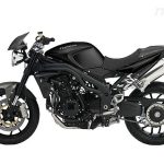 Triumph Speed Triple Carbon LE (2009)