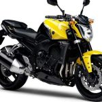 Yamaha FZ1 (2009)