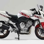 Yamaha FZ1 Fazer ABS Limited Edition (2009)