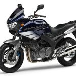 Yamaha TDM 900 abs (2006-07)