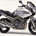 Yamaha TDM900 (2002-03)