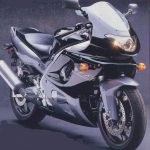 Yamaha YZF 600 R Thunder cat (1999-00)