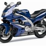 Yamaha YZF 600R Thunder cat (2003-05)
